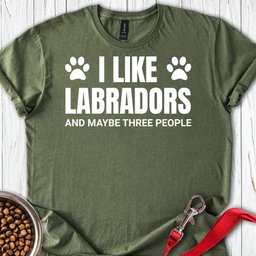 I Like Labradors T Shirt Gift For Dog Lover