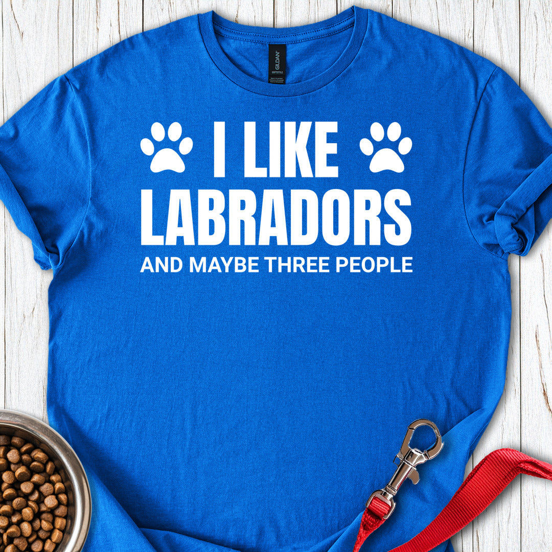 I Like Labradors T Shirt Gift For Dog Lover