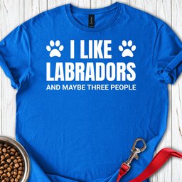 I Like Labradors T Shirt Gift For Dog Lover