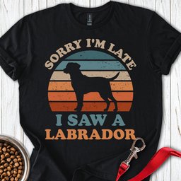 I Saw A Labrador T Shirt Gift For Dog Lover