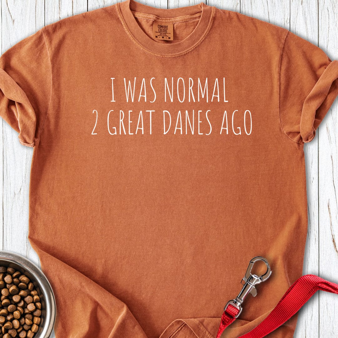 I Was Normal 2 Great Danes Ago Premium Tee Gift For Dog Lover