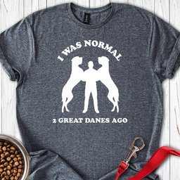 I Was Normal 2 Great Danes Ago T Shirt Gift For Dog Lover