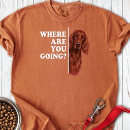 Irish Setter Where Are You Going Premium Tee Gift For Dog Lover
