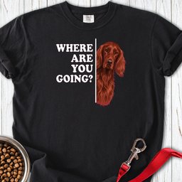 Irish Setter Where Are You Going Premium Tee Gift For Dog Lover