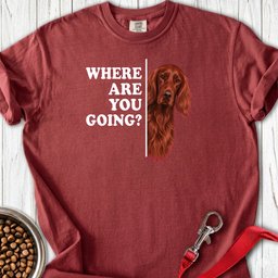 Irish Setter Where Are You Going Premium Tee Gift For Dog Lover