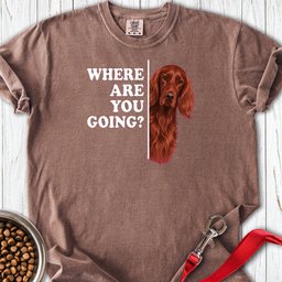 Irish Setter Where Are You Going Premium Tee Gift For Dog Lover