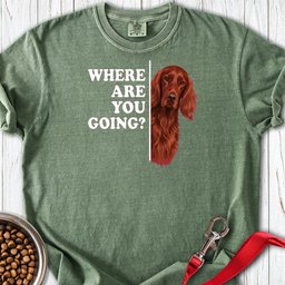 Irish Setter Where Are You Going Premium Tee Gift For Dog Lover