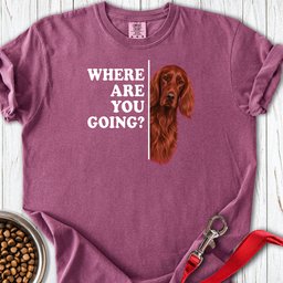 Irish Setter Where Are You Going Premium Tee Gift For Dog Lover