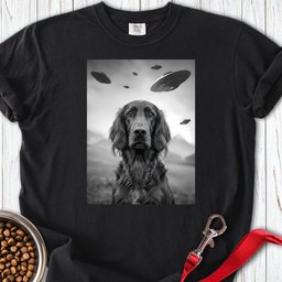 Irish Setter Ufo Premium Tee Gift For Dog Lover