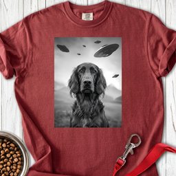 Irish Setter Ufo Premium Tee Gift For Dog Lover