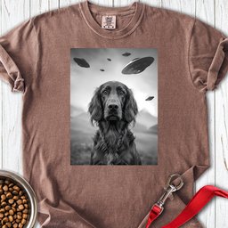 Irish Setter Ufo Premium Tee Gift For Dog Lover