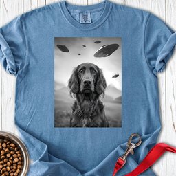 Irish Setter Ufo Premium Tee Gift For Dog Lover