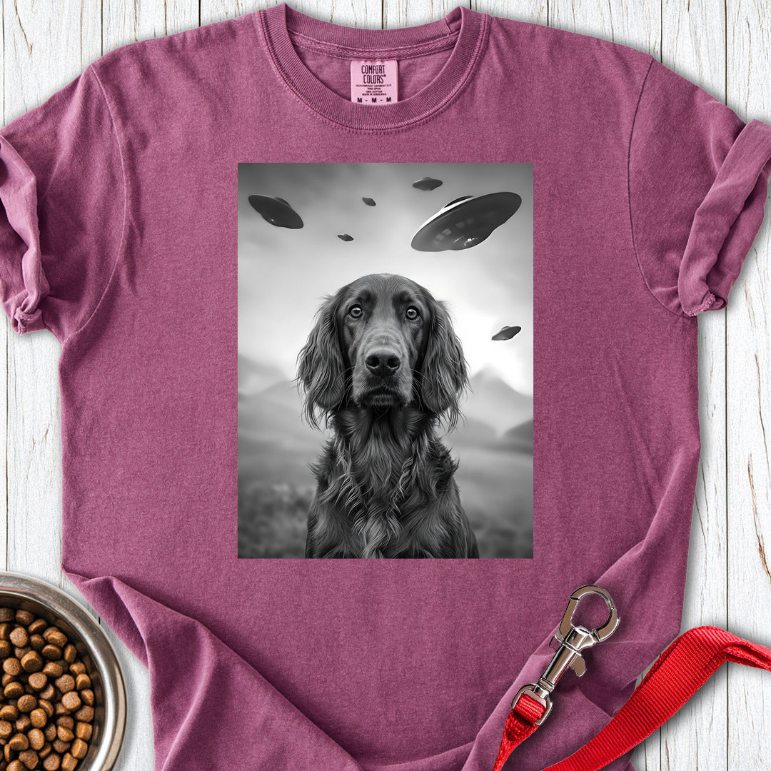 Irish Setter Ufo Premium Tee Gift For Dog Lover