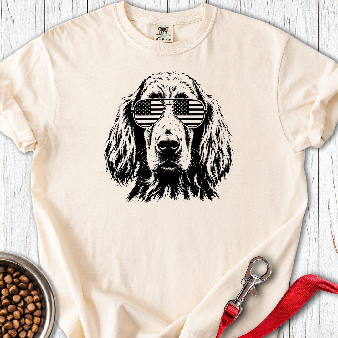 Irish Setter Flag Shades Premium Tee Gift For Dog Lover