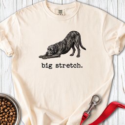 Irish Wolfhound Big Stretch Premium Tee Gift For Dog Lover