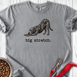 Irish Wolfhound Big Stretch Premium Tee Gift For Dog Lover