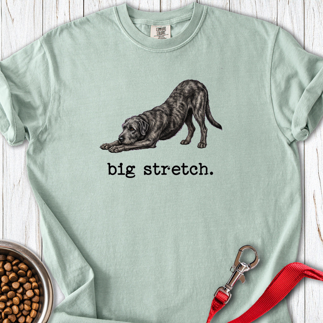 Irish Wolfhound Big Stretch Premium Tee Gift For Dog Lover