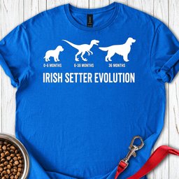 Irish Setter Evolution T Shirt Gift For Dog Lover