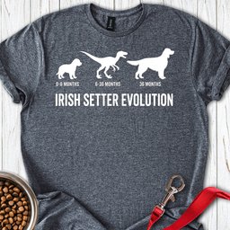Irish Setter Evolution T Shirt Gift For Dog Lover