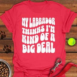 Labrador Big Deal T Shirt Gift For Dog Lover