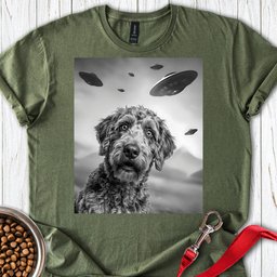 Labradoodle Ufo T Shirt Gift For Dog Lover