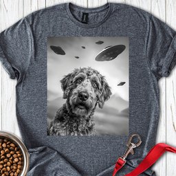 Labradoodle Ufo T Shirt Gift For Dog Lover