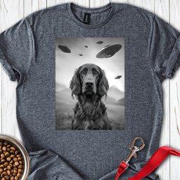 Irish Setter Ufo T Shirt Gift For Dog Lover