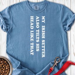 Irish Setter Tilts His Head Premium Tee Gift For Dog Lover