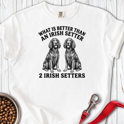 Irish Setter What Is Better Than One Premium Tee Gift For Dog Lover
