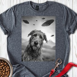Irish Wolfhound Ufo T Shirt Gift For Dog Lover