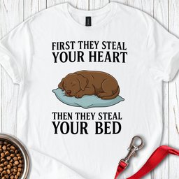 Labrador Stealing Bed T Shirt Gift For Dog Lover