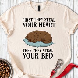 Labrador Stealing Bed T Shirt Gift For Dog Lover