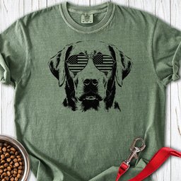 Labrador USA Premium Tee Gift For Dog Lover
