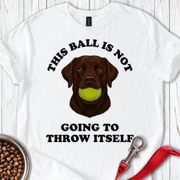 Labrador Throw The Ball T Shirt Gift For Dog Lover