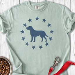 Labrador Stars Premium Tee Gift For Dog Lover