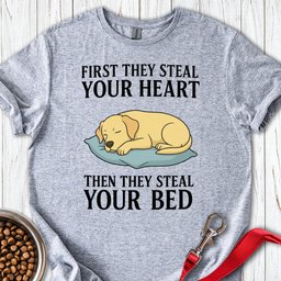 Labrador Stealing Bed T Shirt Gift For Dog Lover