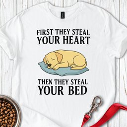 Labrador Stealing Bed T Shirt Gift For Dog Lover