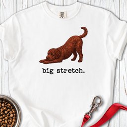 Lagotto Big Stretch Premium Tee Gift For Dog Lover
