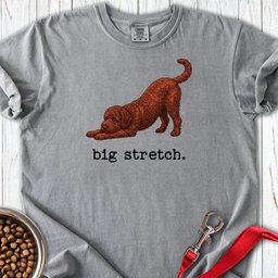 Lagotto Big Stretch Premium Tee Gift For Dog Lover