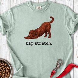 Lagotto Big Stretch Premium Tee Gift For Dog Lover