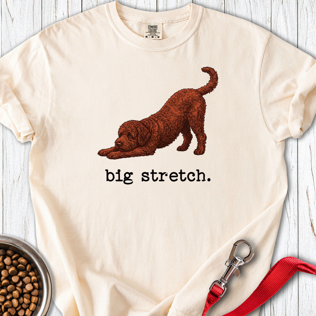 Lagotto Big Stretch Premium Tee Gift For Dog Lover