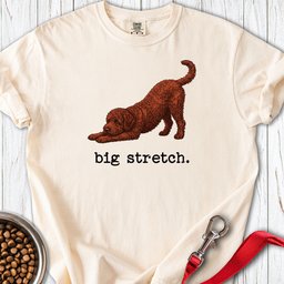 Lagotto Big Stretch Premium Tee Gift For Dog Lover