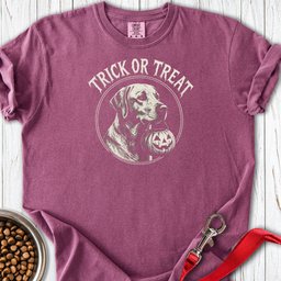 Labrador Trick Or Treat Halloween Premium Tee Gift For Dog Lover