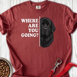 Newfoundland Where Are You Going Premium Tee Gift For Dog Lover