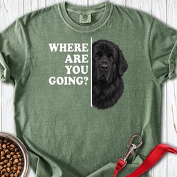 Newfoundland Where Are You Going Premium Tee Gift For Dog Lover