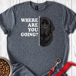 Newfoundland Where Are You Going T Shirt Gift For Dog Lover