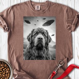 Newfoundland Ufo Premium Tee Gift For Dog Lover