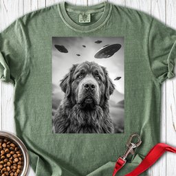 Newfoundland Ufo Premium Tee Gift For Dog Lover