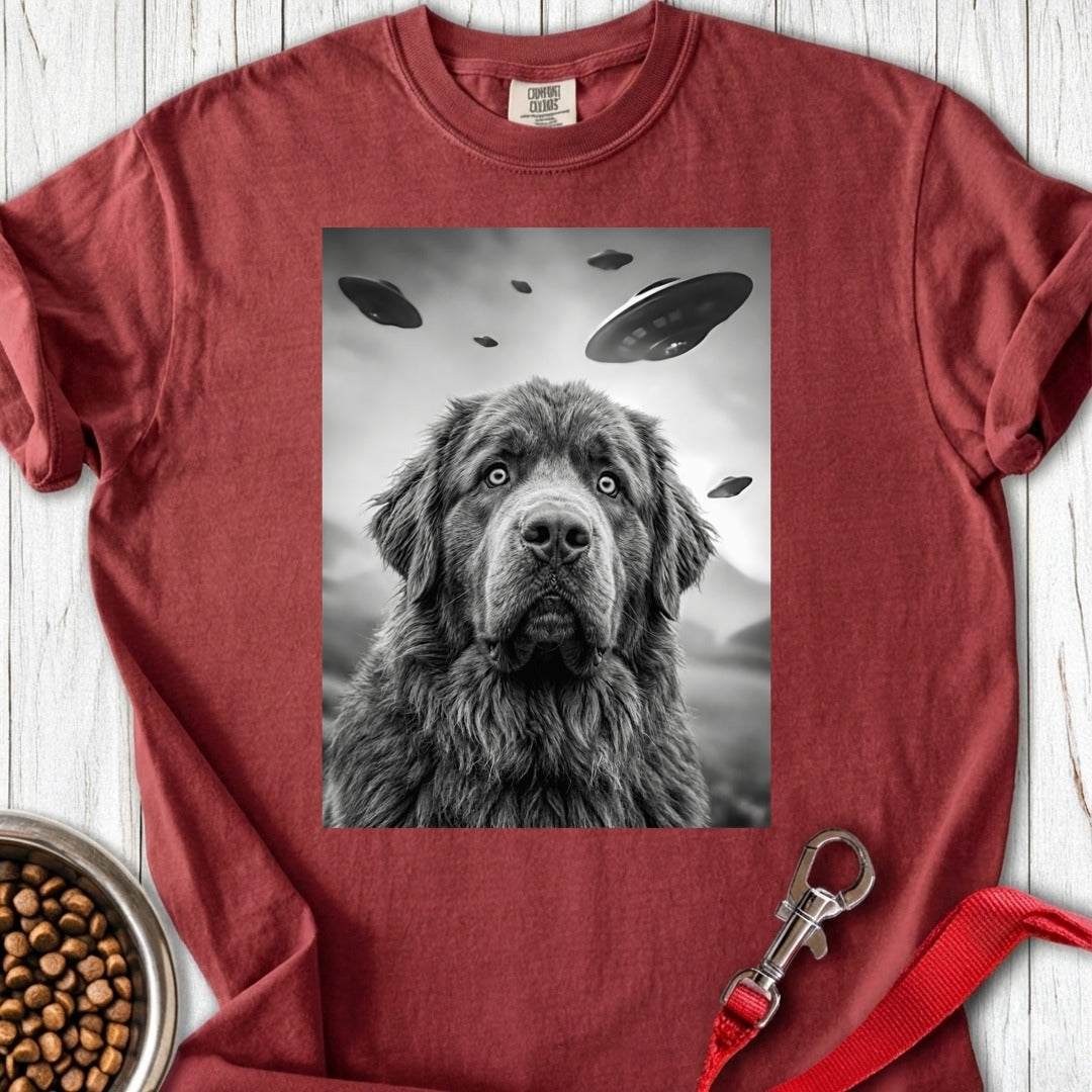 Newfoundland Ufo Premium Tee Gift For Dog Lover