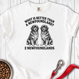 Newfoundland What Is Better Than One Premium Tee Gift For Dog Lover